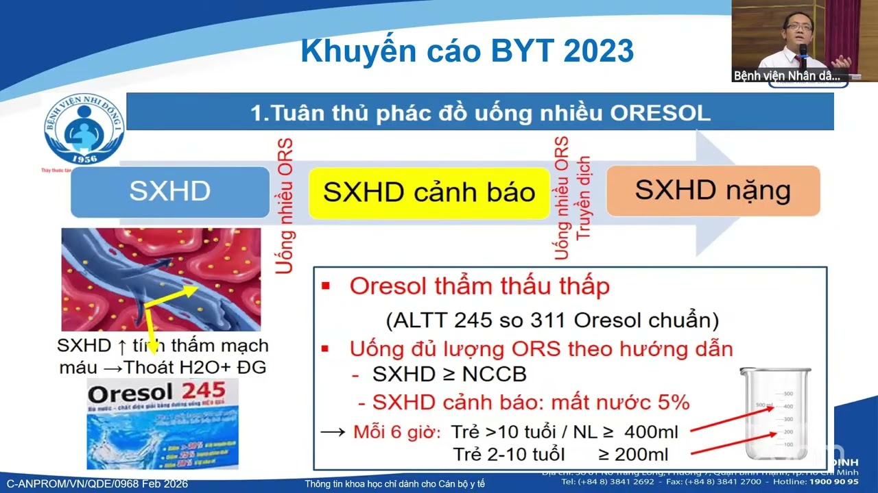 ĐIỀU TRỊ SỐT XUẤT HUYẾT DENGUE Ở NGƯỜI LỚN