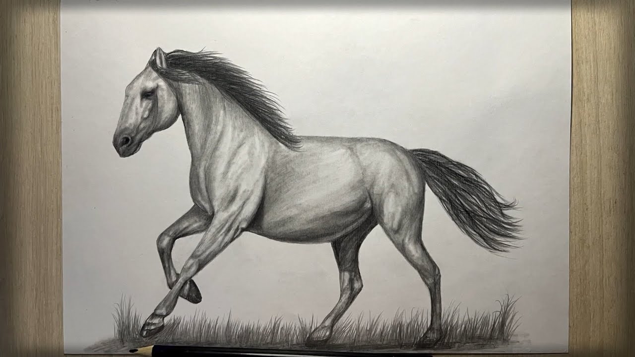 Cómo dibujar un Caballo realista|paso o paso|Рисуем лошадь|horse