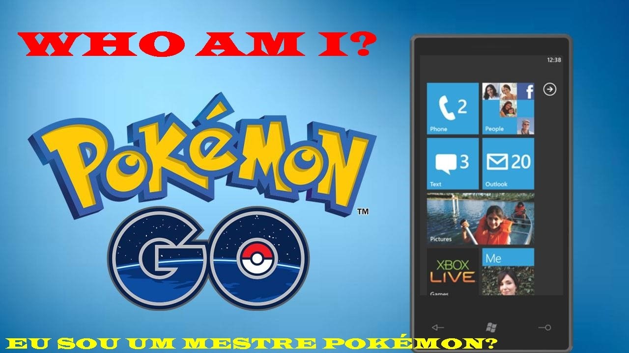 WHO AM I POK&Eacute;MON? (GAME WINDOWS)