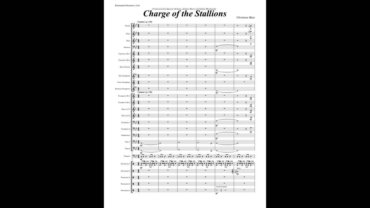 Charge of the Stallions