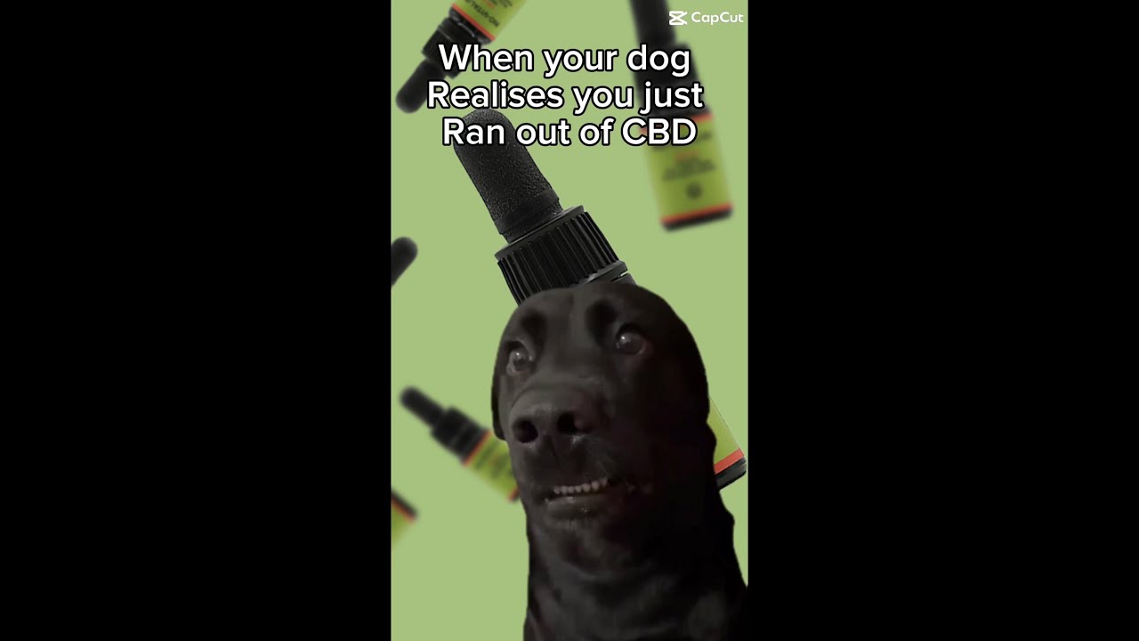 When the CBD runs out... and so does your chill