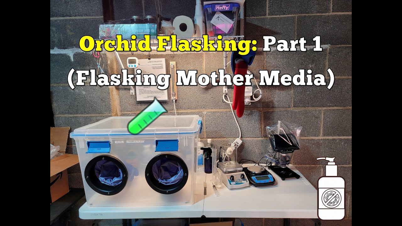 Orchid Flasking (P1) - Flasking Mother Media