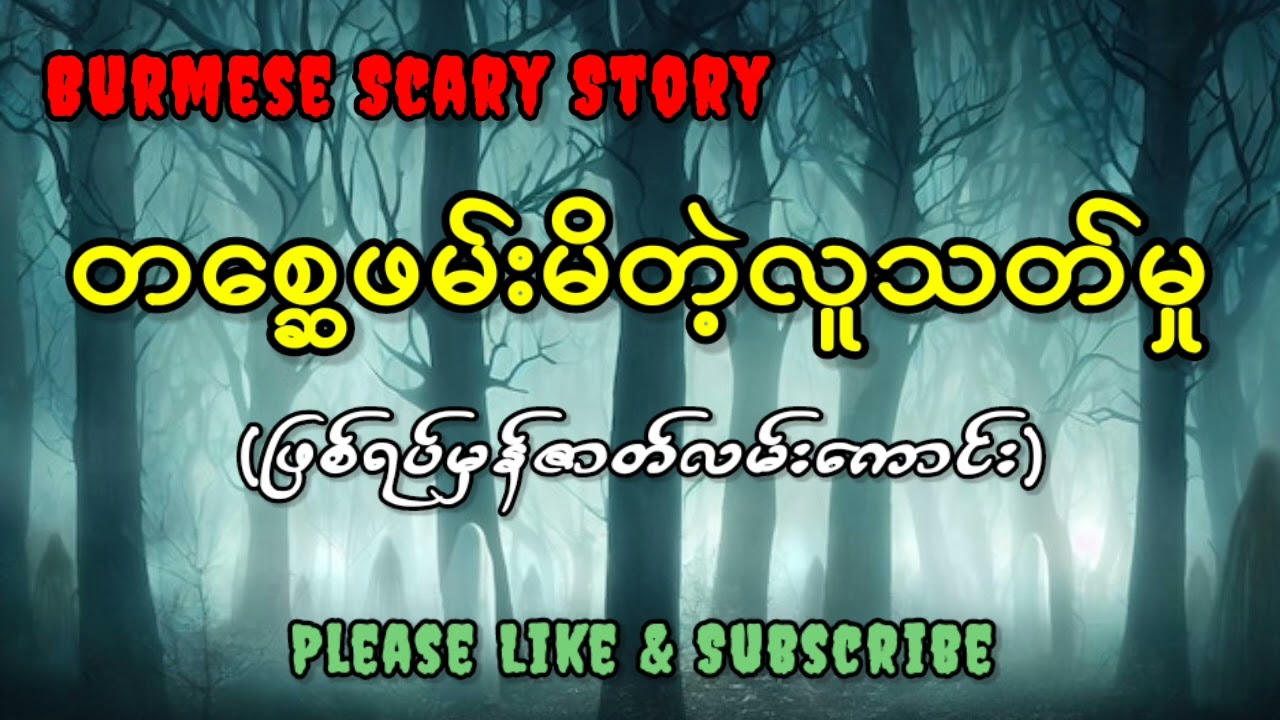 တစ္ဆေဖမ်းမိတဲ့လူသတ်မှု(ဖြစ်ရပ်မှန်ဇာတ်လမ်းကောင်း)
