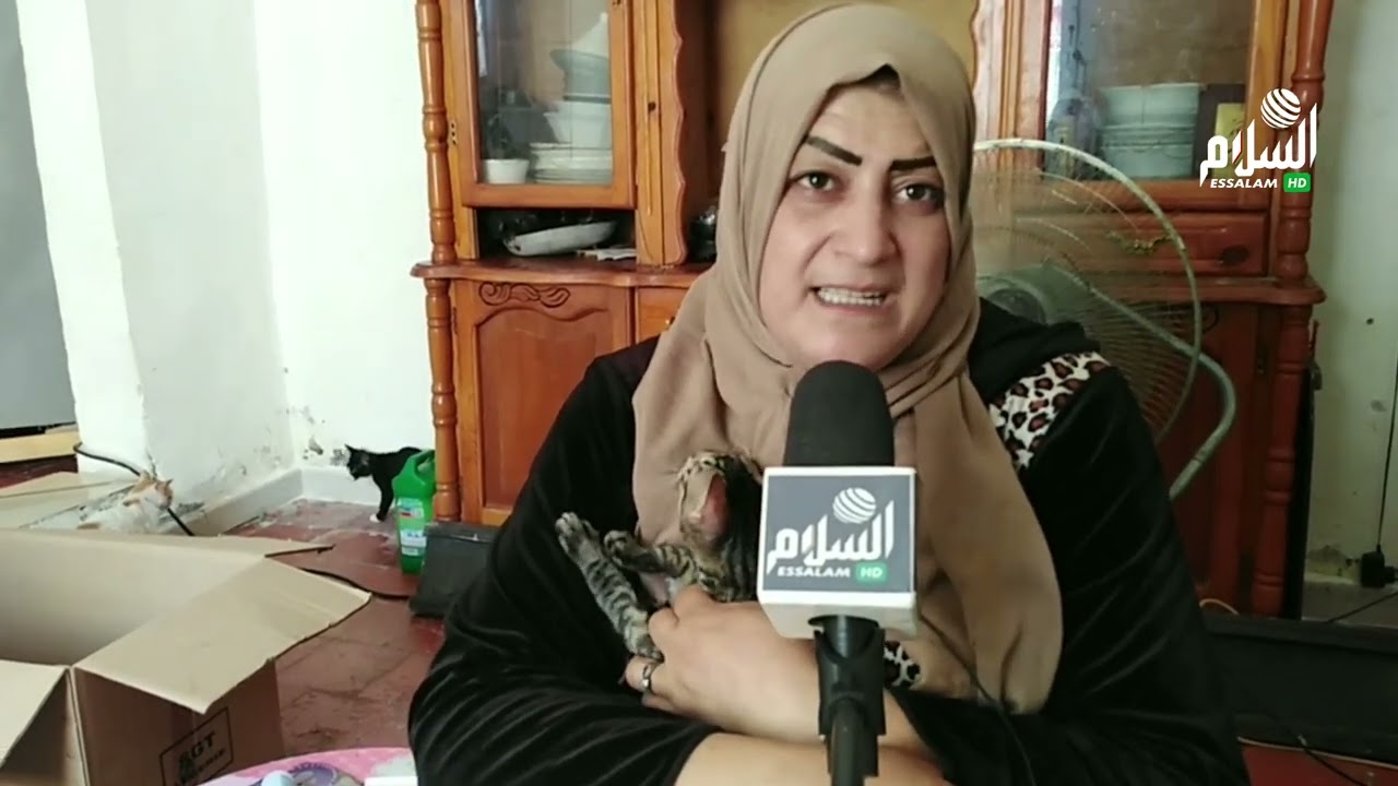 امرأة تحوّل منزلها إلى ملجأ للقطط في ولاية سوق أهراس