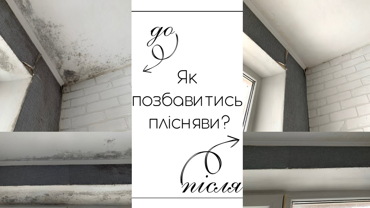 ТЕСТУЮ ЗАСІБ ВІД ПЛІСНЯВИ🦠як позбавитись від грибка на стінах?