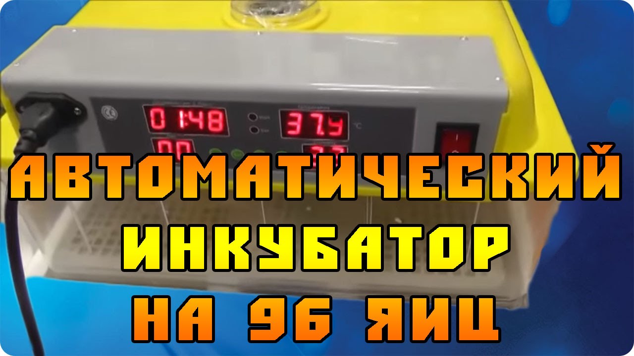 Автоматический инкубатор на 96 куриных яиц (Китай)