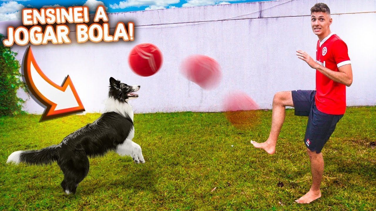 ENSINEI O MEU CACHORRO A JOGAR FUTEBOL | O MUNDO DE SIMBA #9