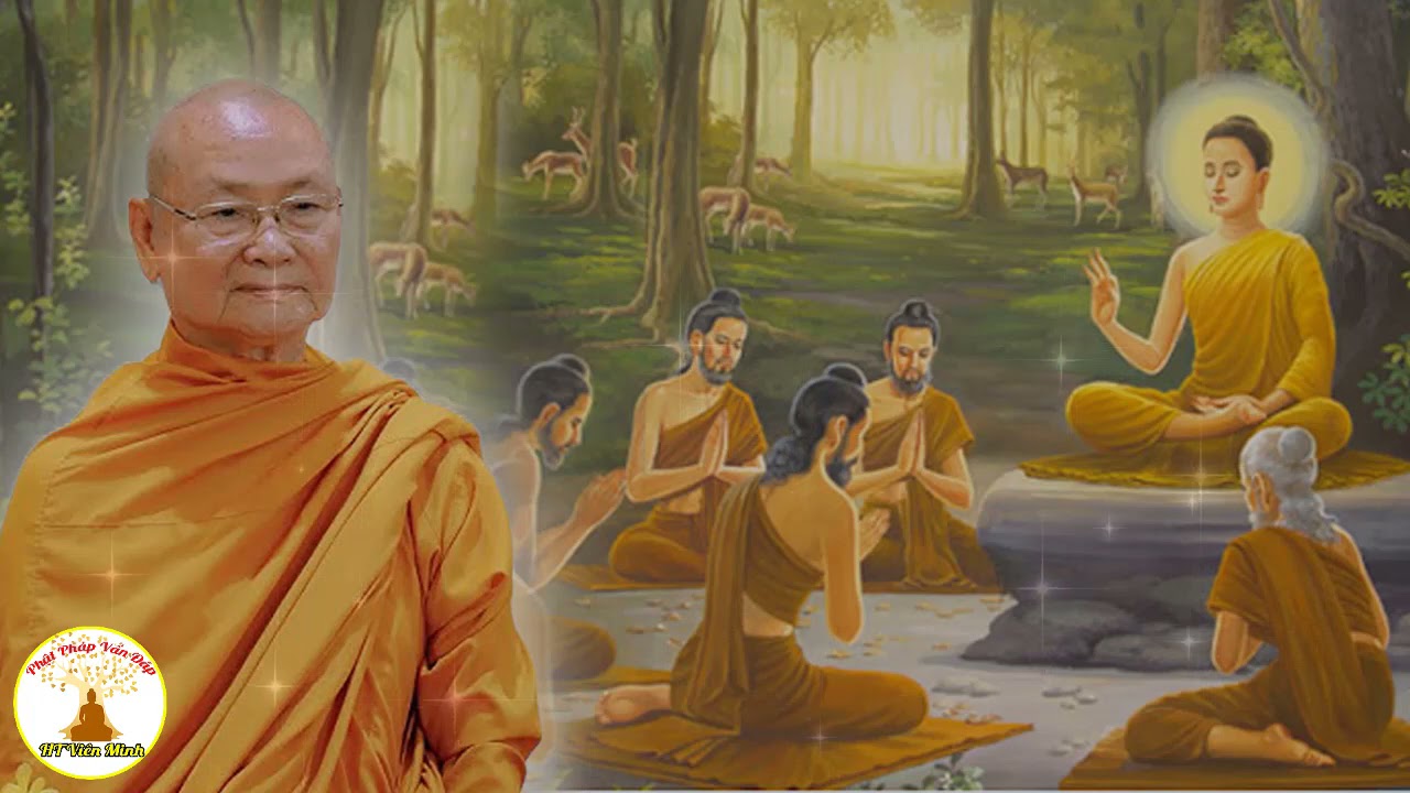 Đối Tượng Của Thiền Vipassana - HT Viên Minh | Phật Pháp Vấn Đáp