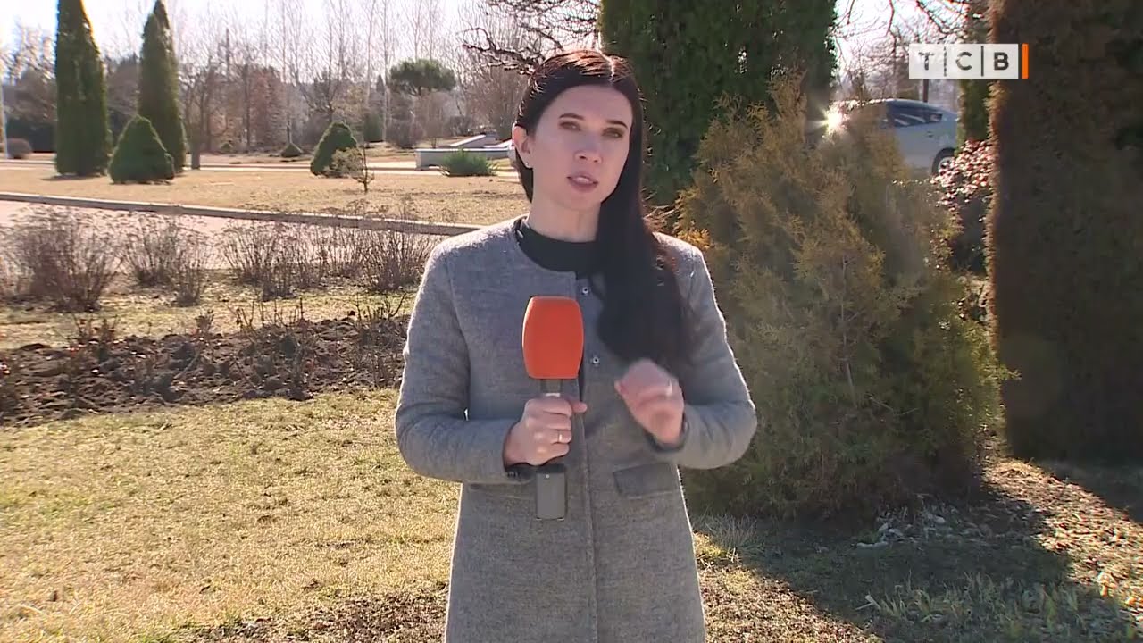 Погода в Приднестровье