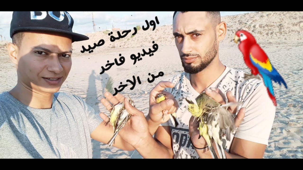 صيد  الطيور المهاجره من اوروبا مع أحمد الصياد2020🕊🦢🦆👀👍🏻👍🏻👍🏻