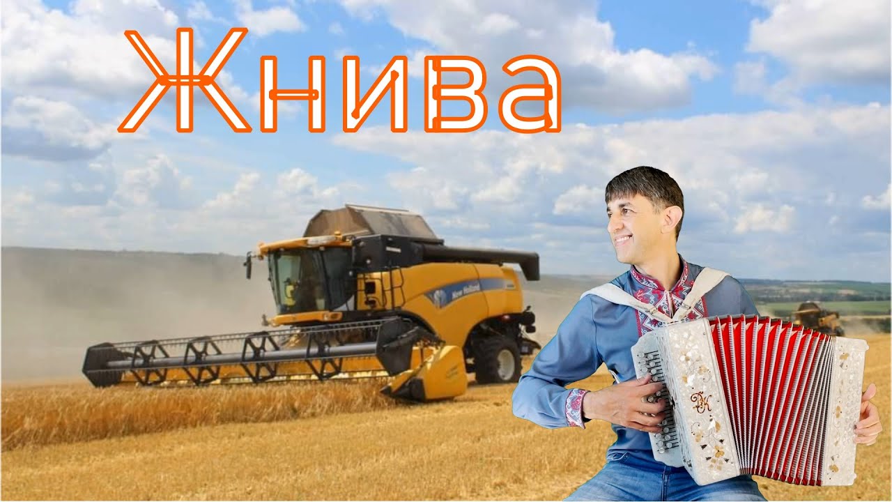Жнива