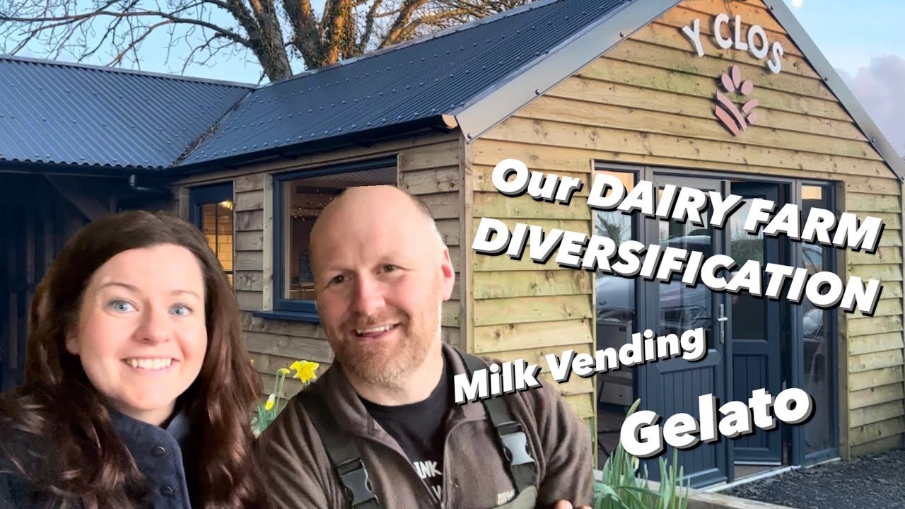 Our DAIRY FARM DIVERSIFICATION: MILK VENDING and on farm GELATERIA
