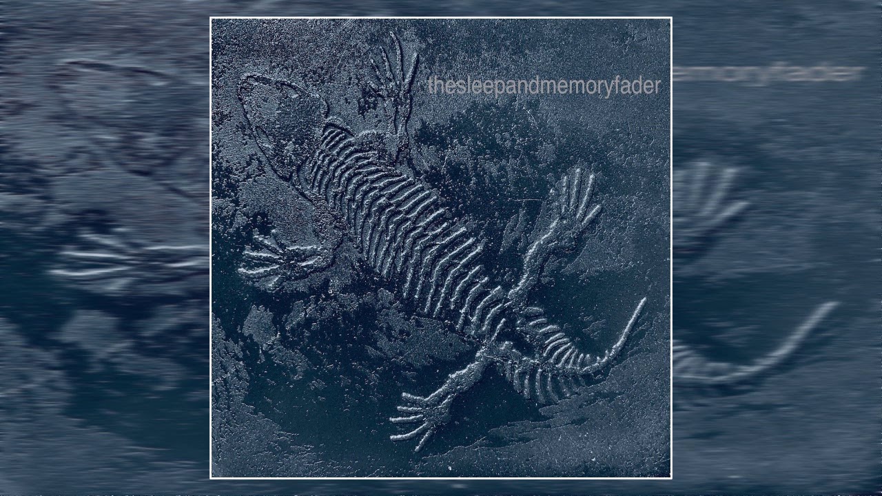 the sleep and memory fader - amos (2019) (Full Album)
