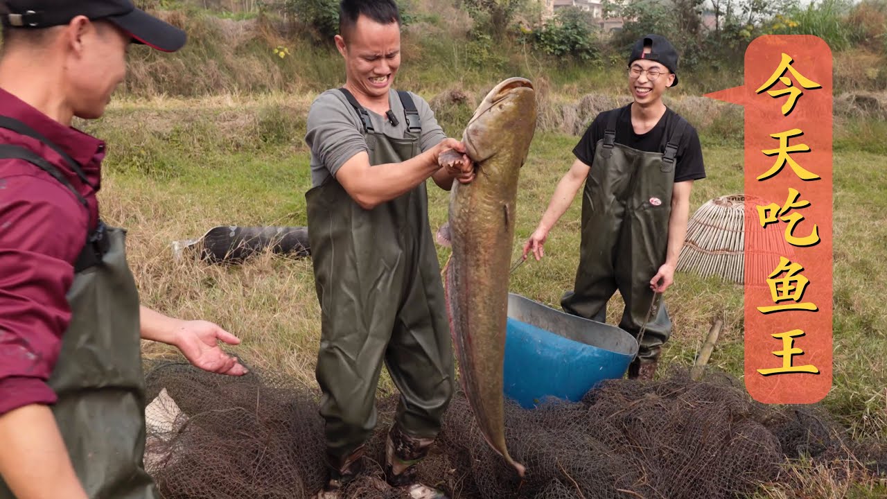 厨师长“狩猎”60斤大鲶鱼，煮、蒸、炒一鱼多吃，宴请亲朋好友