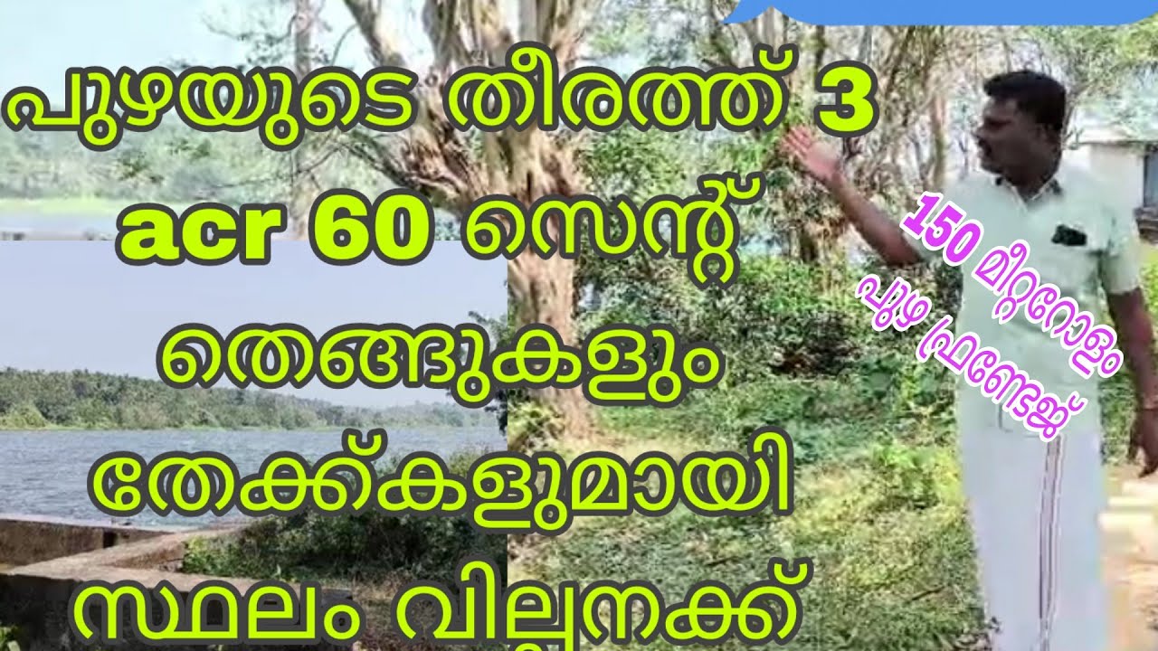 പുഴയുടെ തീരത്ത് 3 acr 60 സെന്റ് തെങ്ങിൻ തോട്ടം വില്പനക്ക്.....
