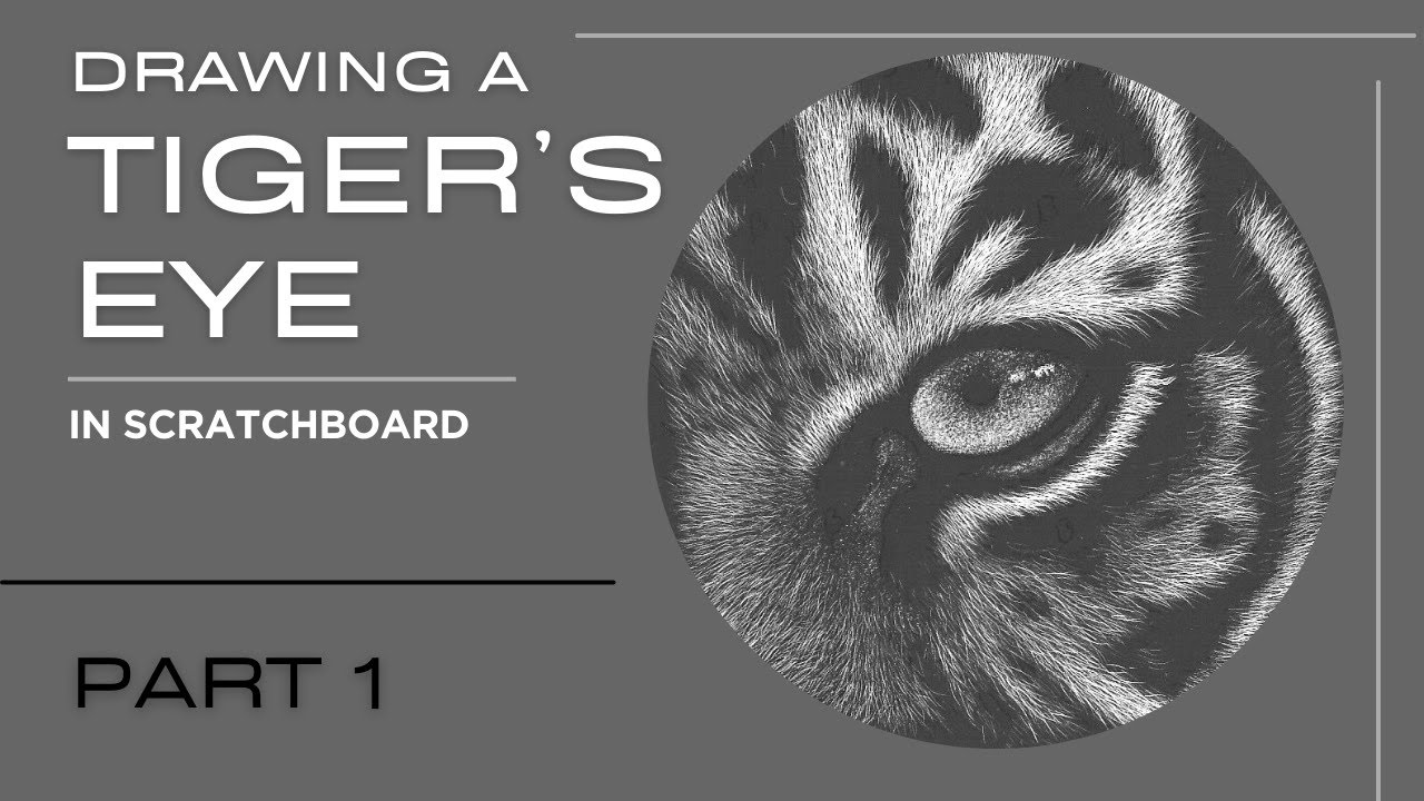 Scratchboard Tiger Eye Tutorial (Part 1) | Real-Time Drawing – Create this in Under 2.5 Hours!