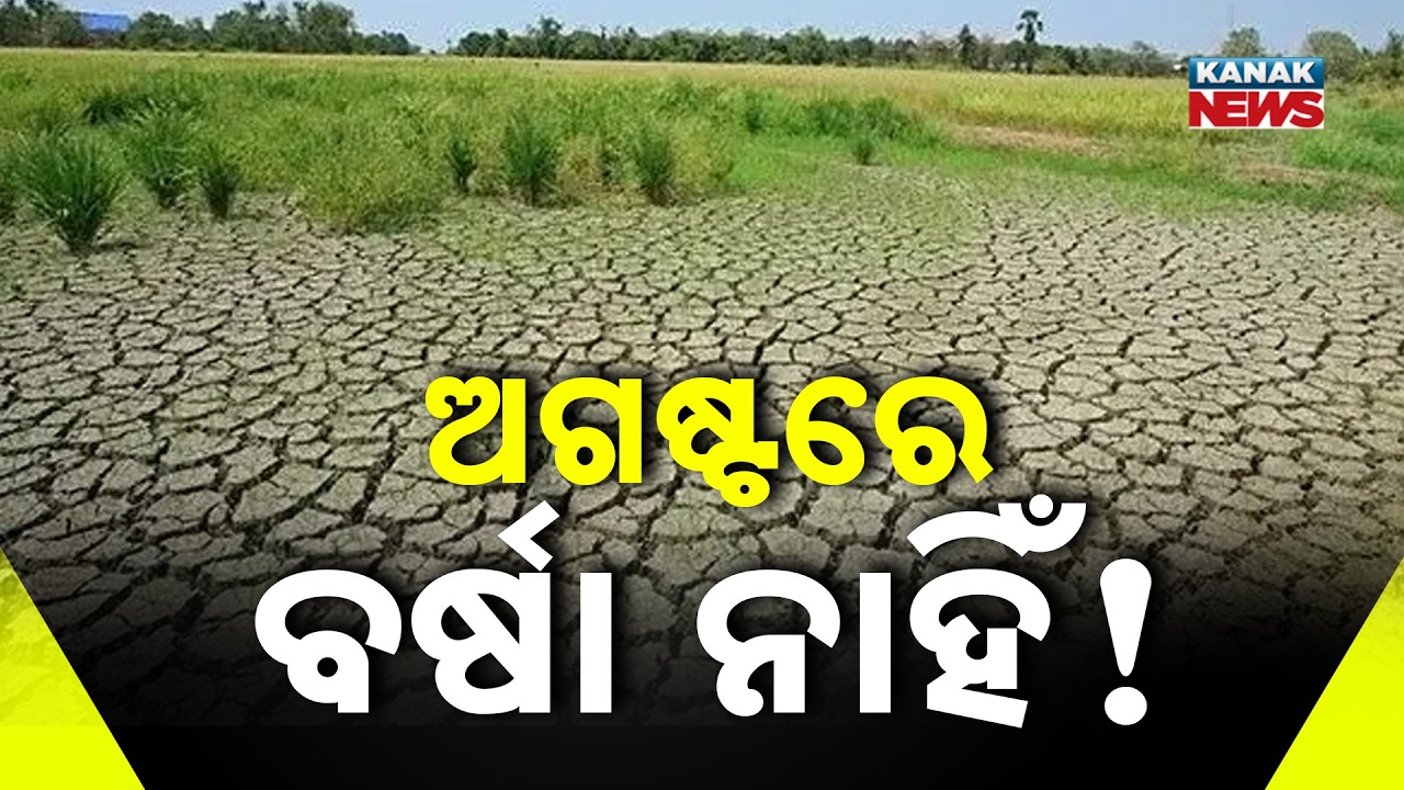 IMD Alert: Odisha May Receive Below-Normal Rainfall in August and September