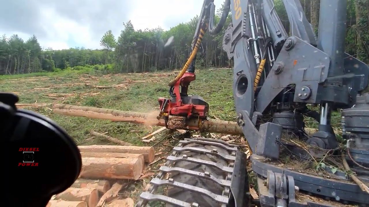 🌲 Rottne H21d & SP 761 lf🌲 ◇ Driver Miguel ◇