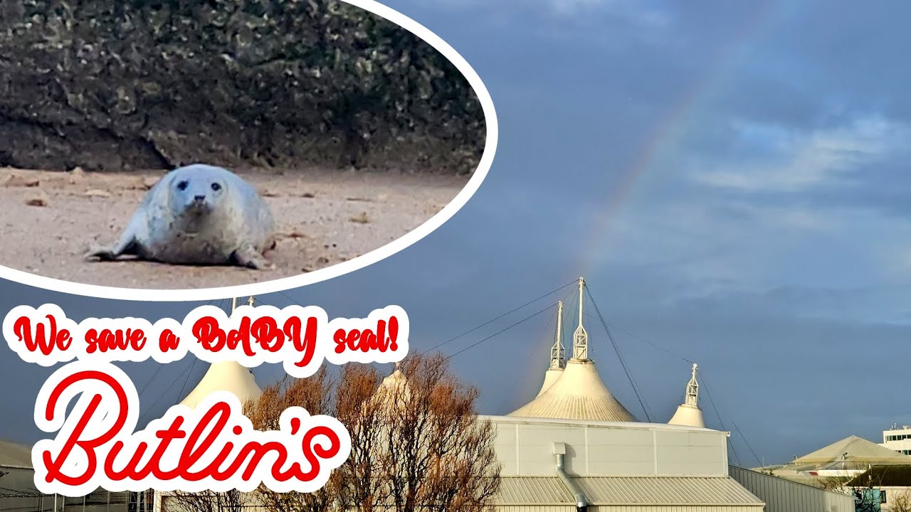 We save a BABY seal! Butlins Skegness Day 2 ! 6th December 2025