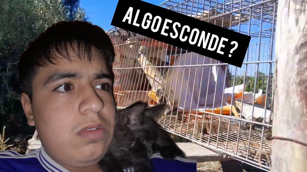 Este lugar guarda algún secreto ? (Serie exe deam  Weep