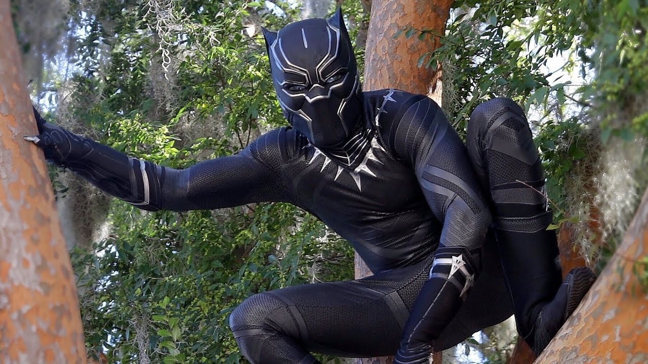 Black Panther - Day In The Life