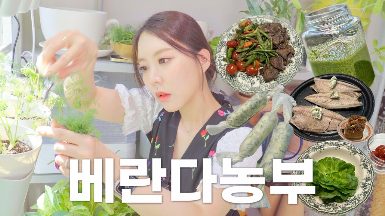 매일 수확해 요리하는 싱그러운 일상 | 허브 키우기 (딜버터, 바질페스토, 로즈마리)