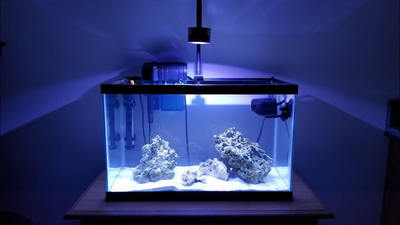 Build A 10g Nano Reef On A Budget! (2020 Edition)