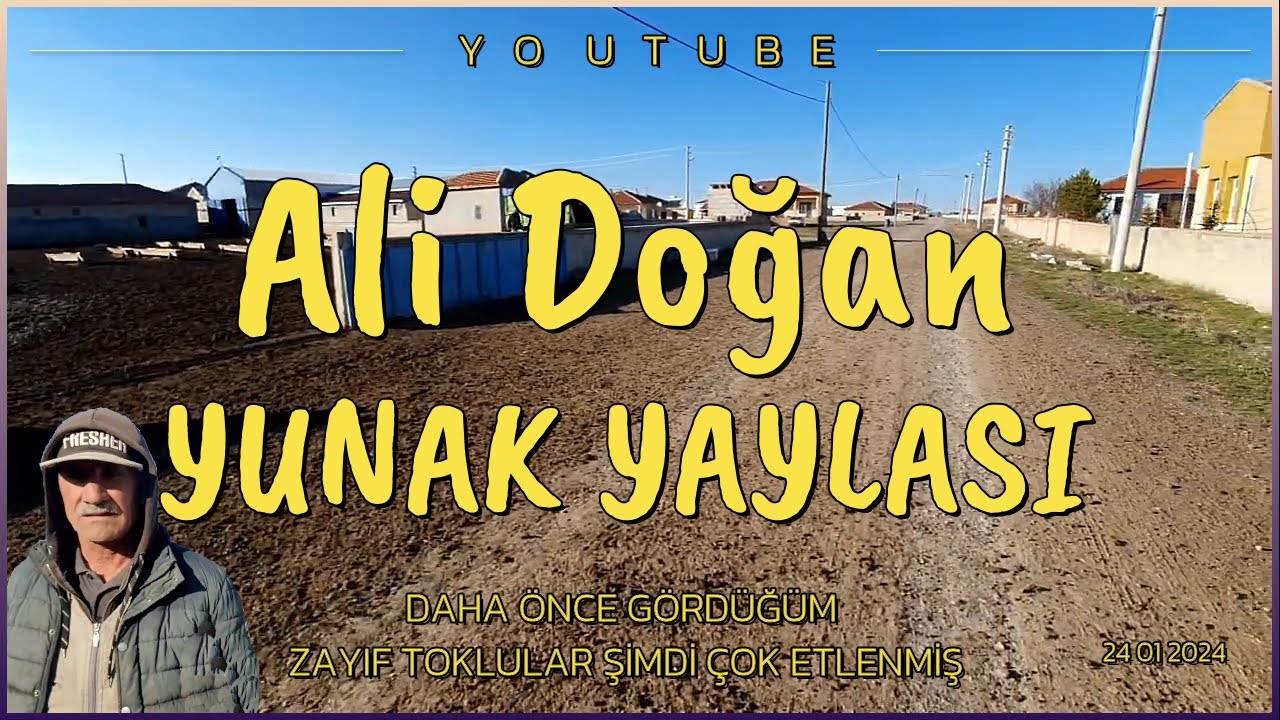 DAHA ÖNCE GÖRDÜĞÜM ZAYIF TOKLULAR ŞİMDİ ÇOK ETLENMİŞ