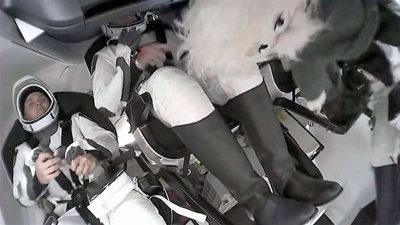 SpaceX Crew-5 zero-g indicator: Little Thinker Einstein
