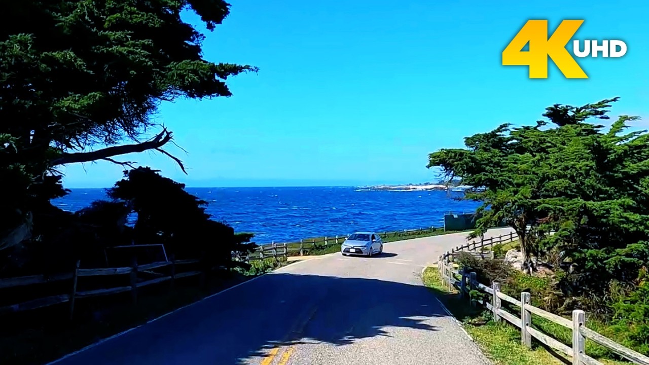 17 Mile Drive California | Don't Miss This Epic Coastal Drive
