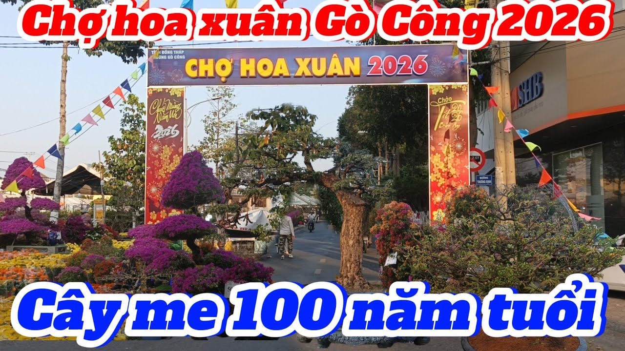 Chợ hoa xuân Gò Công 2026 nhiều hoa Tết phục vụ bà con duy nhất cây me 100 năm tuổi 