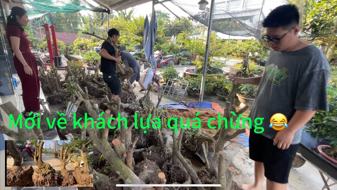 Thử tài đệ tử lựa cây xem sao
