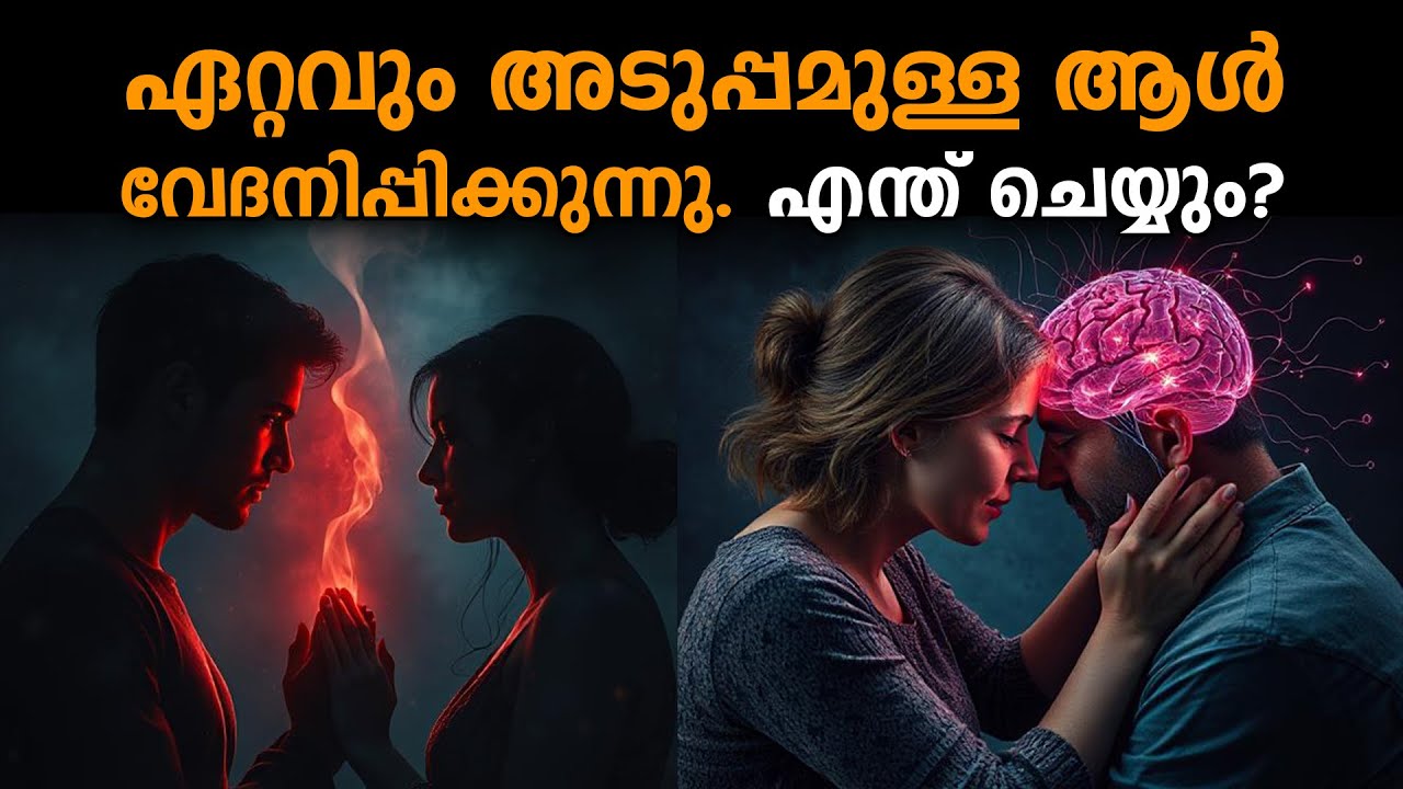 ബന്ധം വഷളായാൽ 4 രീതിയിൽ പരിഹരിക്കാം - Life Changing Ideas