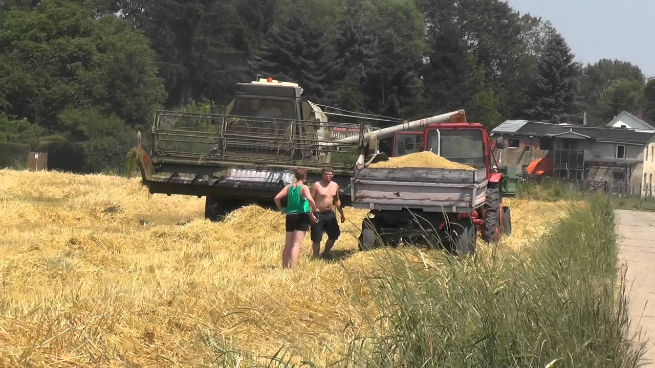 Impressionen von DDR Fortschritt E 512 Mähdrescher Gerstenernte Juli 2015 in Großraum Leipzig Teil 1