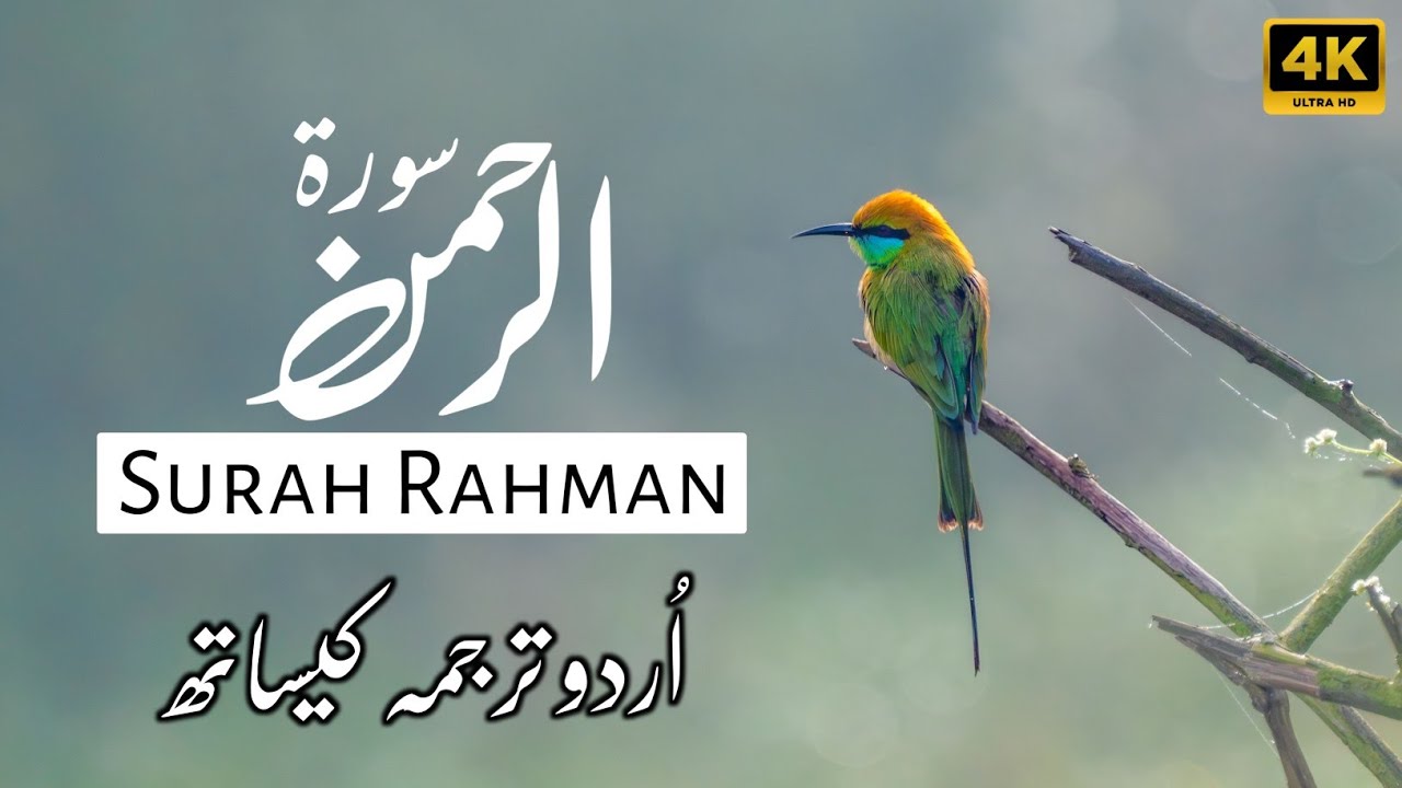 Surah Al Rahman Qari Abdul Basit Abdul Samad | Surah Al Rehman | Cure For All Sickness | 003
