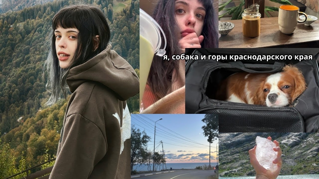 ретрит в горах и собака-путешественник.mp4