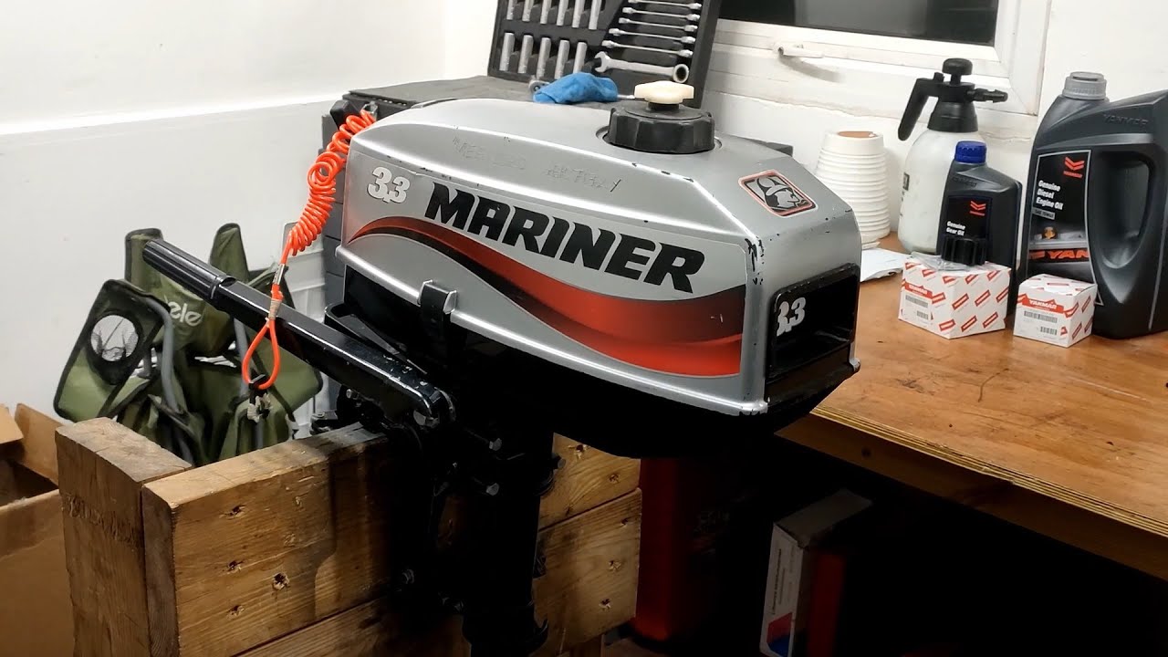 Mariner 3.3 Lower Unit Oil Seals Replacement