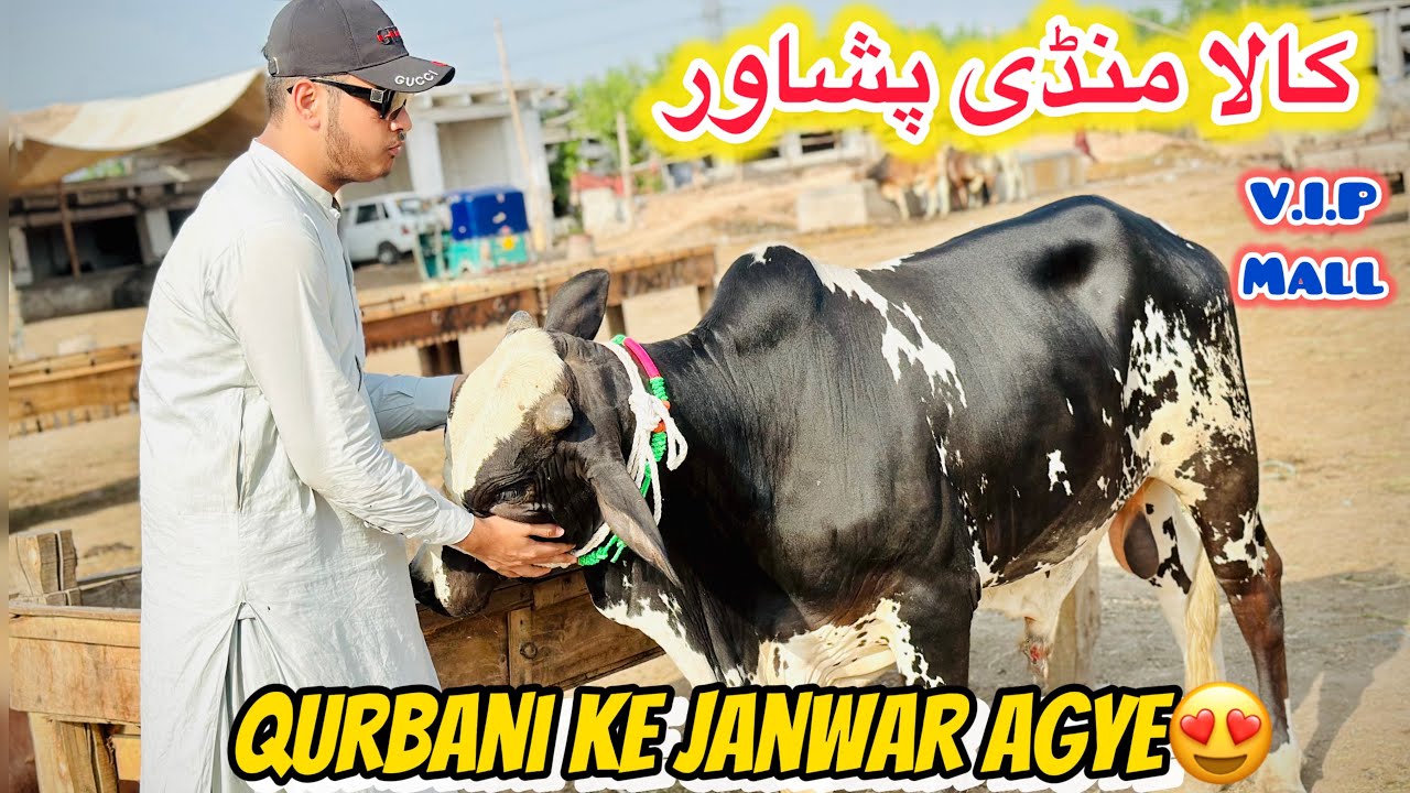 Kala Mandi GT road peshawar||V.i.p Mall Agya mandi my😍||Latest Updates||19/4/2025