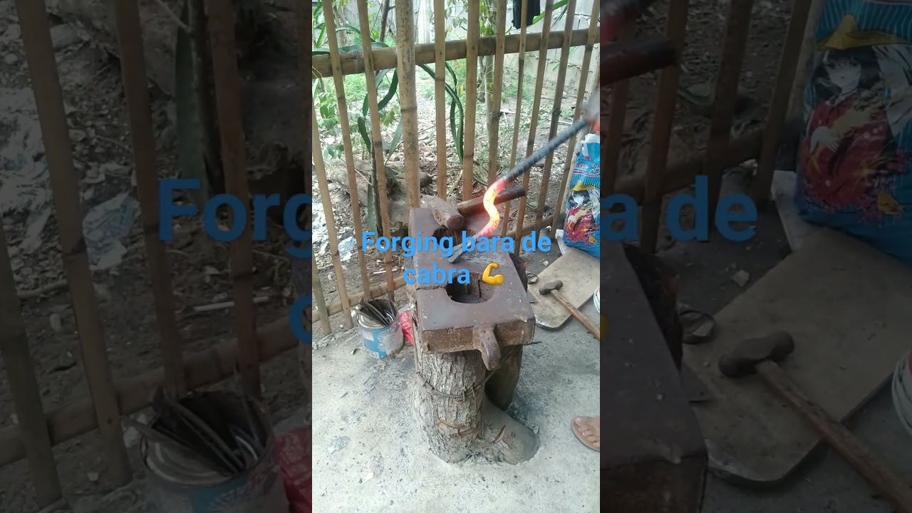forging bara de cabra