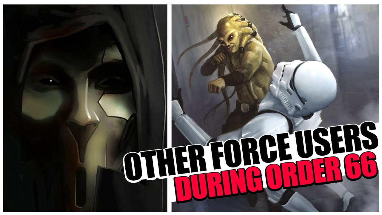 Что случилось с ДРУГИМИ ПОЛЬЗОВАТЕЛЯМИ СИЛЫ во время Приказа 66? (Не с джедаями)