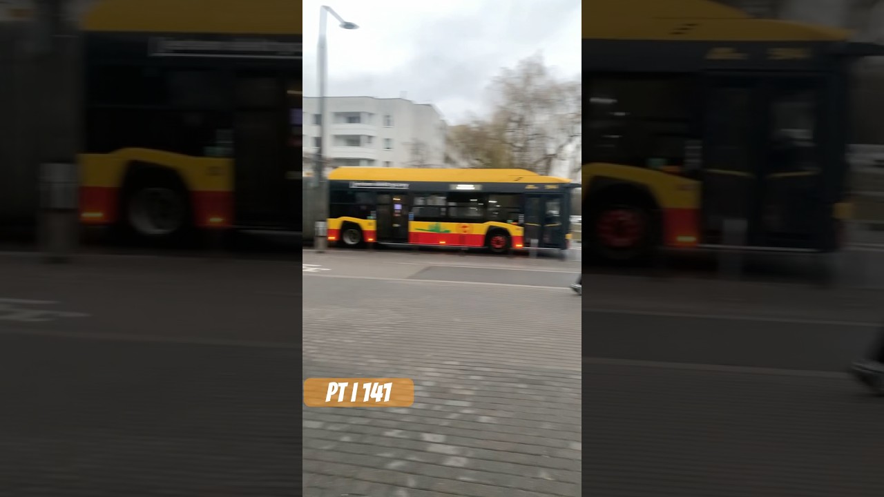Przystanek Witolin #5944 #141 #4217 (daily dzień 21)