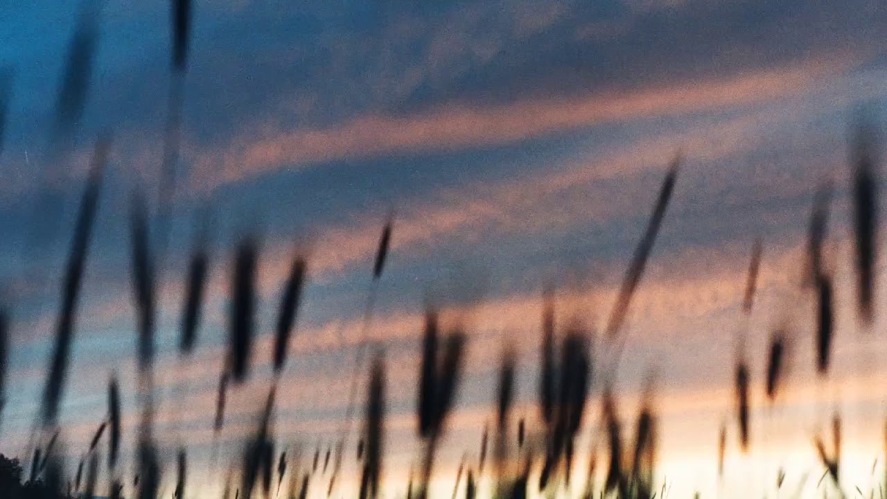 Sonornote - Saturday