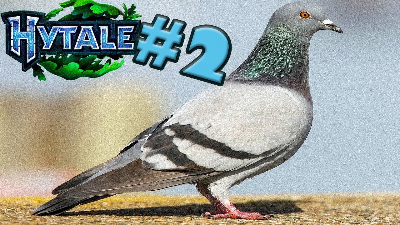 Sí, HYTALE 2