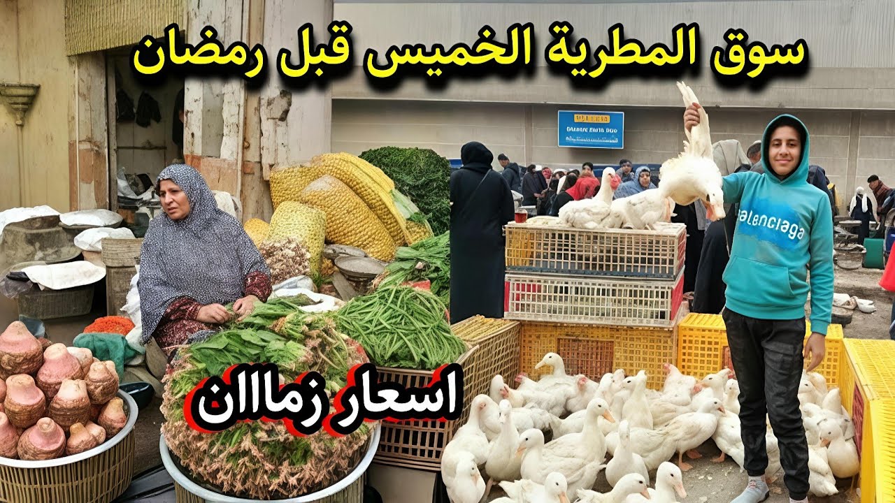 الحقوا بسرعة! الاسعار رجعت لزمان في المطرية 😱 بط وفراخ ب 50ج وسمك ب 30 ج ومخلل رمضان 2026