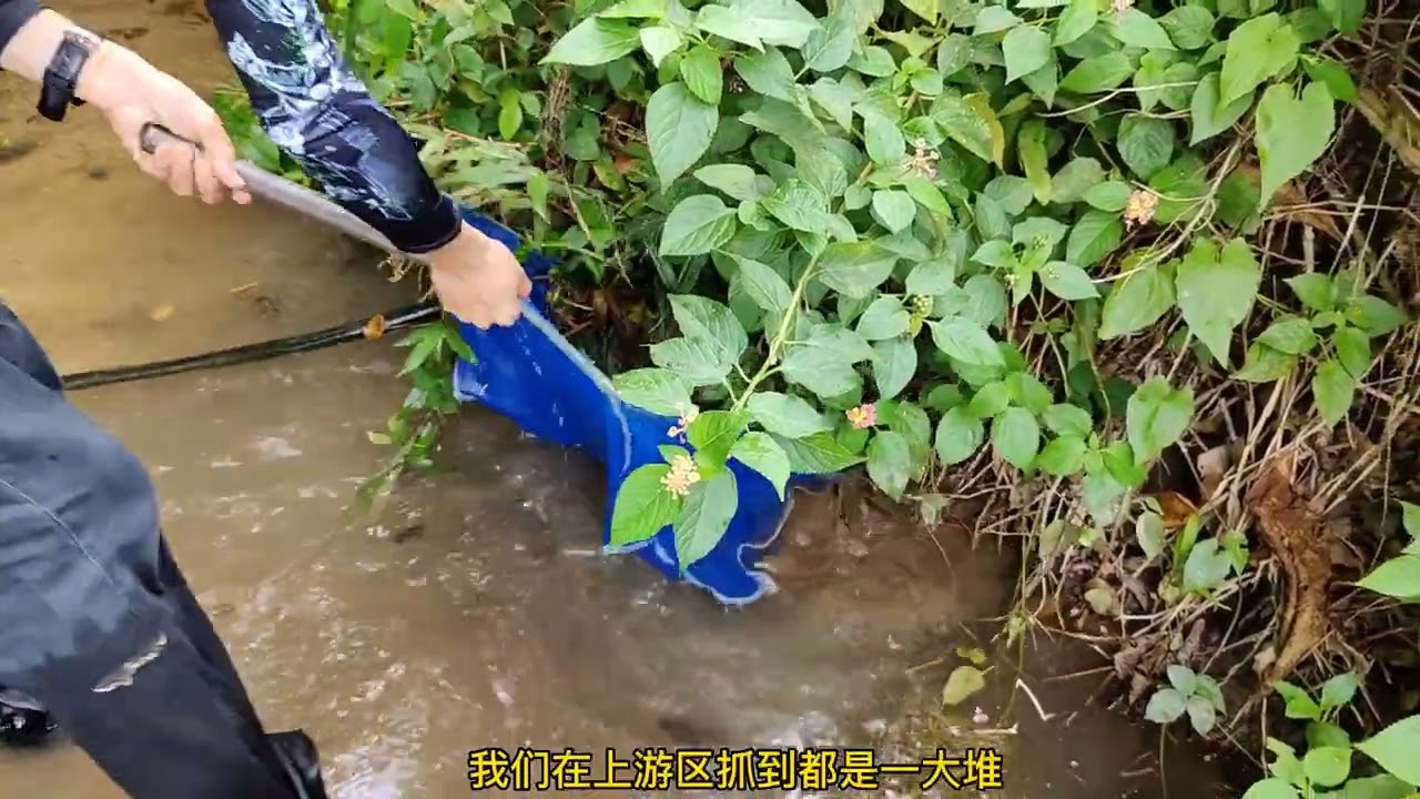 邦戈岛汽水河2.0