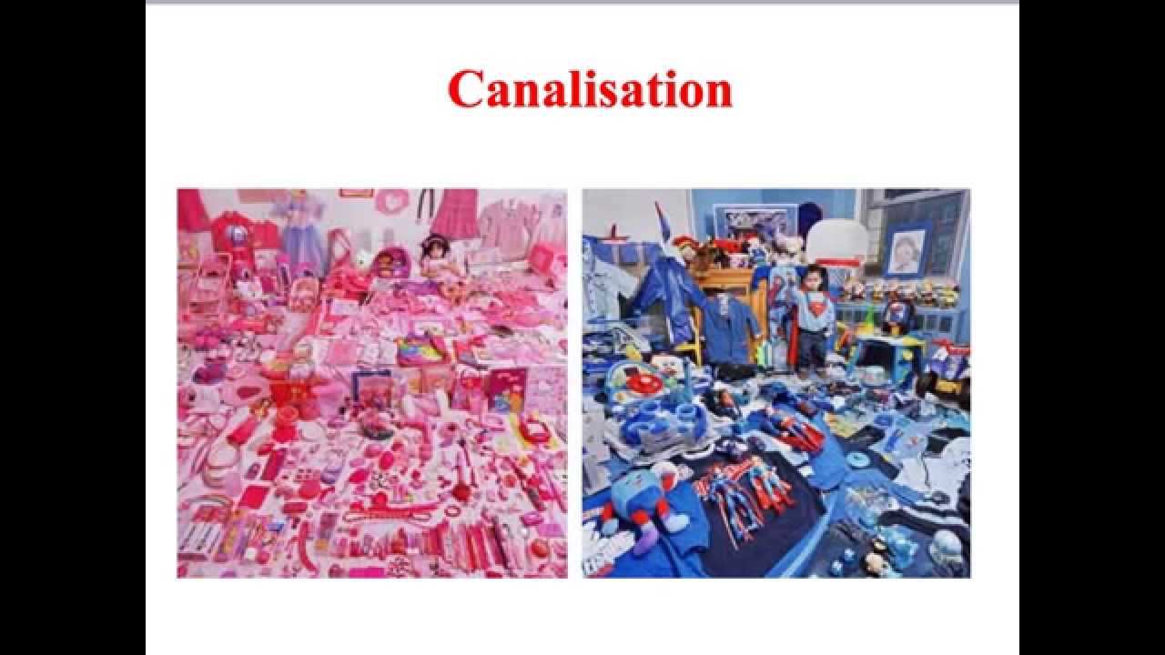C1: Socialisation
