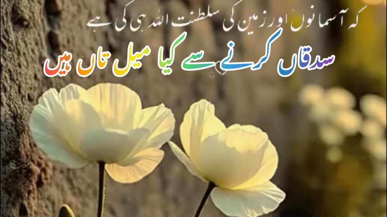what is your can get when you do sadqah