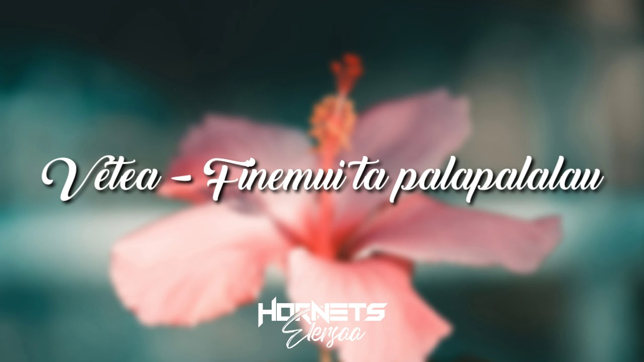 DEEJAY STON x VETEA - FINEMUI TA PALAPALALAU [REPRISE 2020]