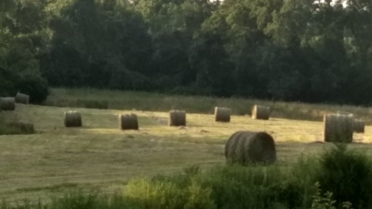 Making a round bale. Vermeer 504c