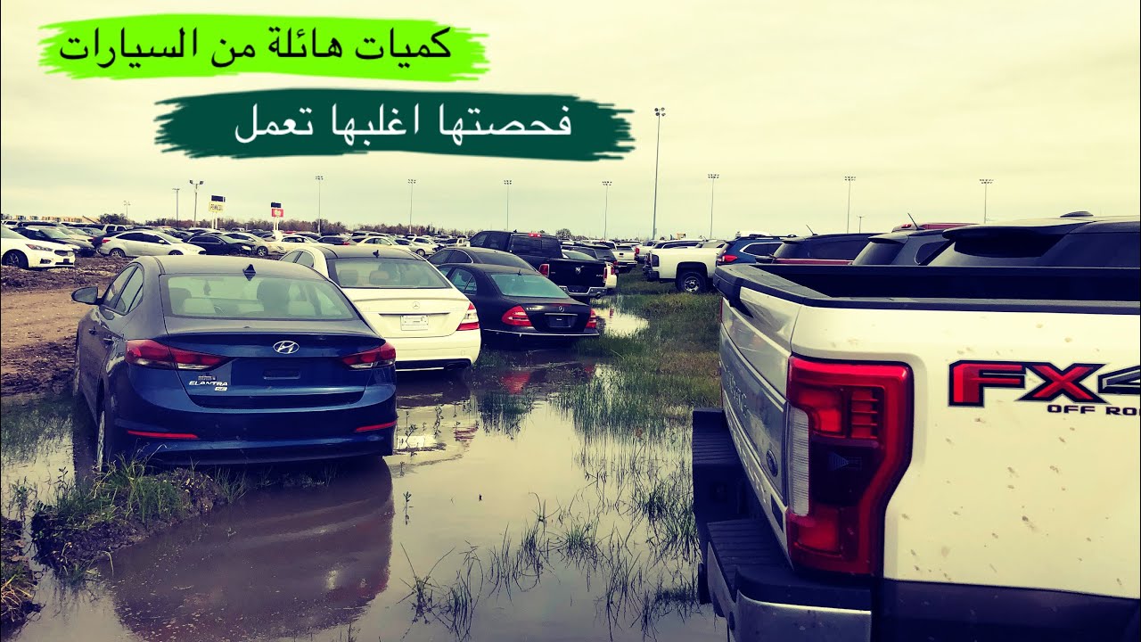 الاف السيارات الحديثة بربع القيمة مرمية في المزاد ولا احد يشتريها ,اغلبها تعمل بعدما فحصتها (ج2)
